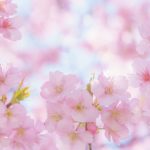 「心が通う通信講座」　H・J